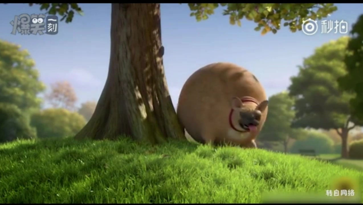 如果家养的动物都是胖子_(动物世界都是胖子系列)