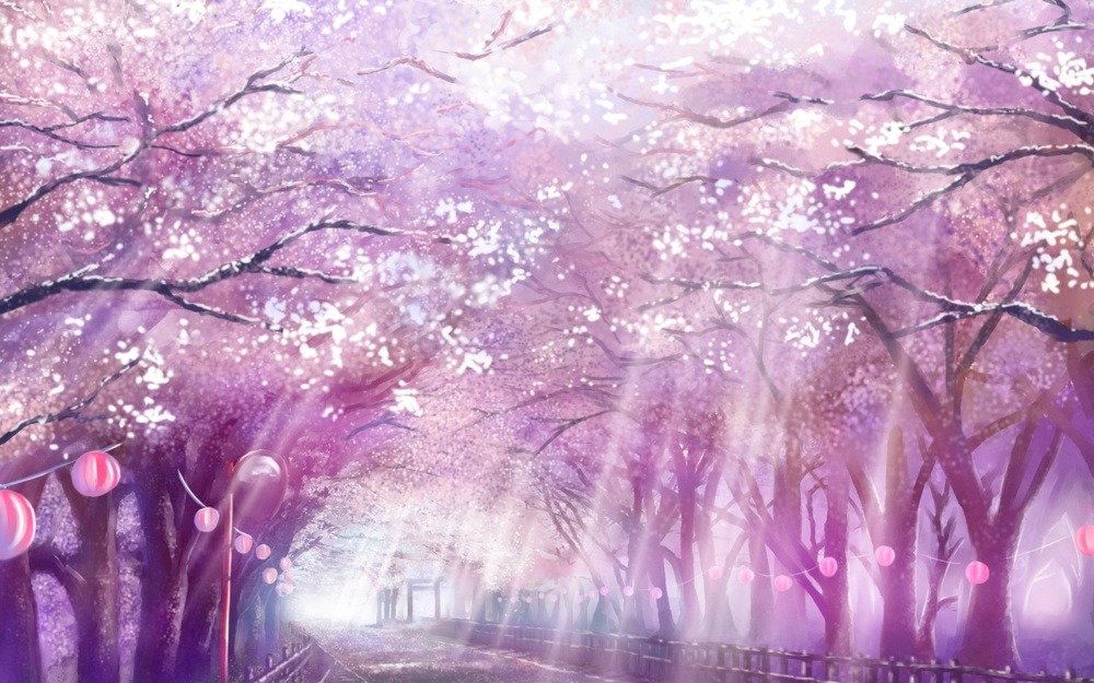 【半音阶口琴】樱花樱花想见你(清明樱花祭)视