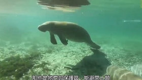 5efcad90e546b77c0205476d2030ab9234df688b.jpg@280w_158h_1c_100q.jpg