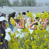 园艺学院