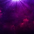 b721 4K高清画质唯美粉色紫色粒子下落学校大学文艺晚会节目唱歌跳舞大屏幕舞台led背景视频素材