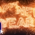 PR模板-2022年新年烟花文字庆祝视频特效的动态LOGO片头模板动态徽标视频动态标识视频模板公司企业品牌商品店铺标志节