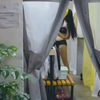 有男生住进来，女生出门还得穿衣服，觉得不方便