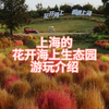 上海花开海上生态园游玩介绍
