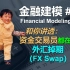 金融建模 27 | 和你讲透外汇掉期（FX Swap） | Financial Modeling 26 FX Swap
