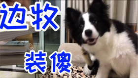 5f7509ad154b516a9019a9c5d46b3fef4ce2f7c4.jpg@280w_158h_1c_100q.jpg