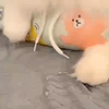 灵活的小胖子
