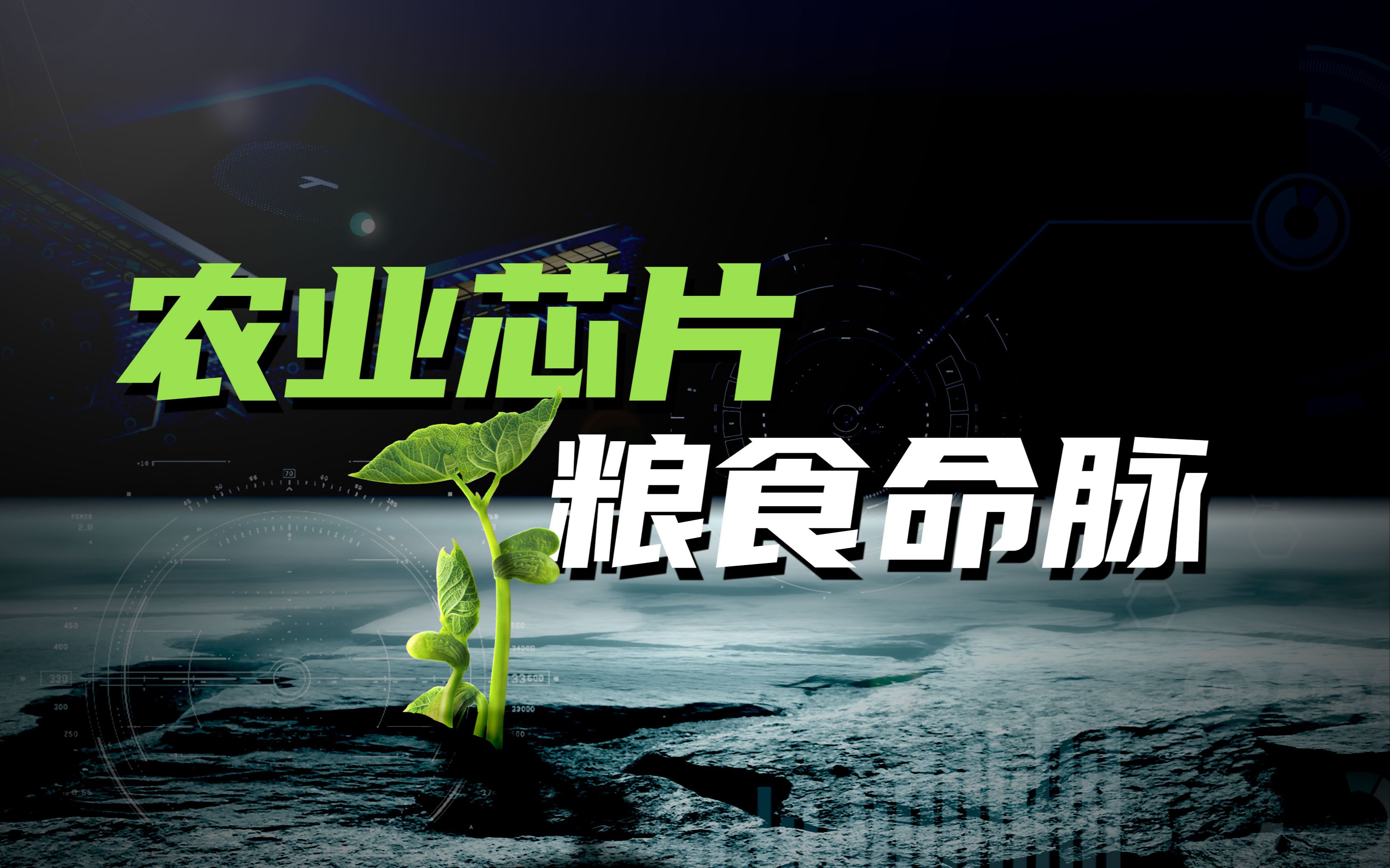 中国种业也被卡脖子！粮食命脉如何不再受制于人？