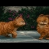 【Garfield】加菲猫经典片段