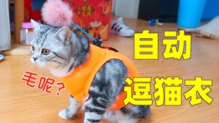 5fbed3d58712c47ea9630a75aedce3ee25055166.jpg@310w_174h_1c_100q.jpg