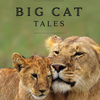 大猫传奇 第一季全五集 Big Cat Tales