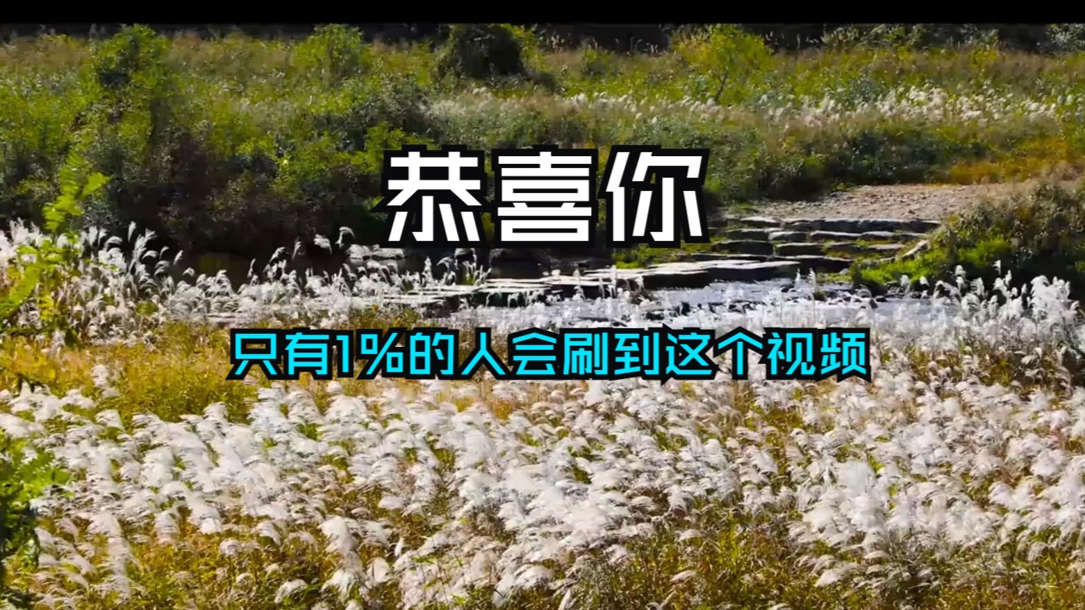 恭喜！只有1%的人会刷到这个视频——如果它出现在你面前，它将在未来12小时内应验！