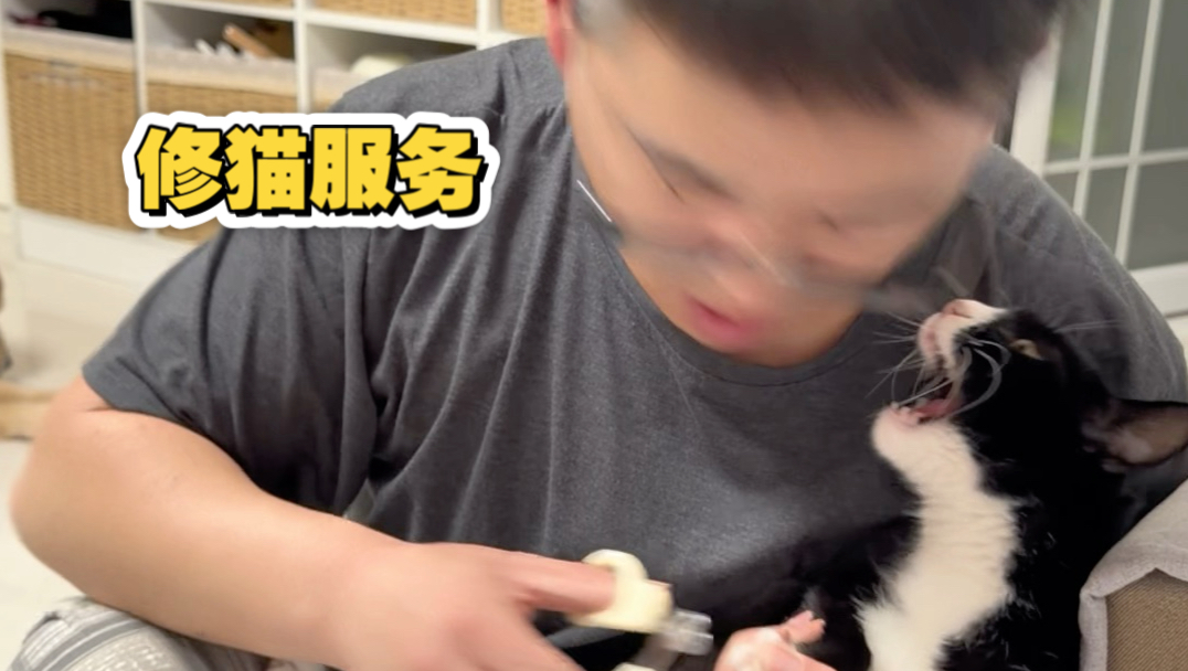 关于我老公莫名其妙的修猫日常 莫名其妙的一天