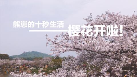 5ff70588a64c65ed406b7f436739f57caed3d48d.jpg@480w_270h_1c