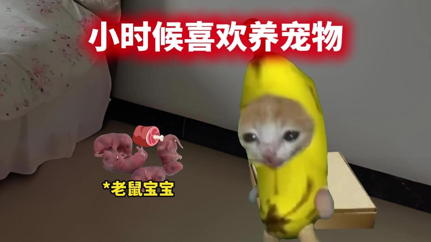 小时候喜欢养宠物