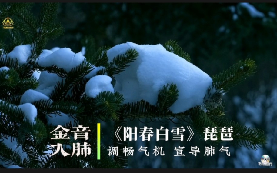 『五音疗疾』金音入肺，商调式最佳曲目，宁心静脑，调畅气机，提高免疫《阳春白雪》