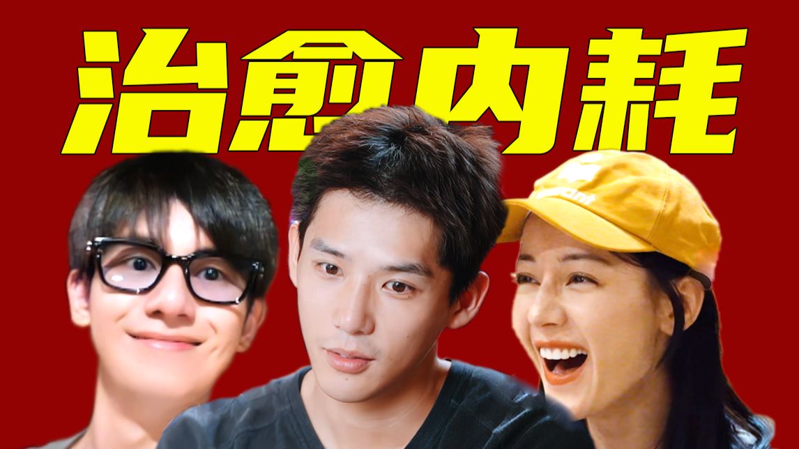 本以为来当牛马，却治好了精神内耗。王安宇：花少导游翻身做人实录。《花少5》解读系列2