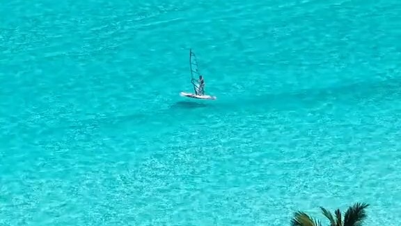 阳光明媚生活中的田园时光 🏝️🌞 🌊