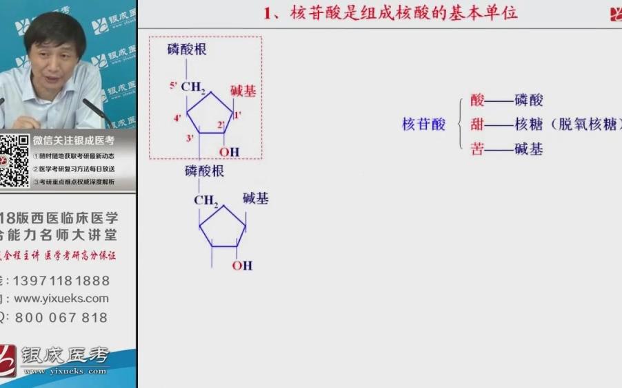 基础强化班生物化学611哔哩哔哩 (゜゜)つロ 干杯~bilibili