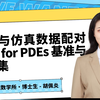 Talk | 中国科学院胡佩炎：真实与仿真数据配对的 AI for PDEs 基准与数据集
