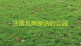 60881e2d11ac4bdfb56f91b5c8606bdc23bc3968.jpg@280w_158h_1c_100q.jpg