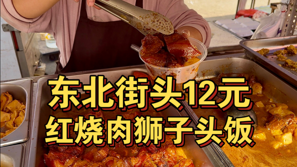东北街头12元红烧肉狮子头饭 这菜打的太豪爽了