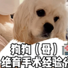 母狗绝育手术经验分享｜华南农业大学动物医院