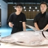 试吃60公斤重大目金枪鱼，澳洲官方认证最顶级牛肉！体验上海自贸区各国展馆！