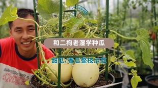 60e02cec2032af21ee8d1504f497386f42134bd4.jpg@310w_174h_1c_100q.jpg