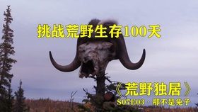 60fb5effeb07c897d06ccfd8af6214bdf03db4de.jpg@280w_158h_1c_100q.jpg