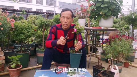 60ff8cbfe424dc2e49f866f20af3f070da034f41.jpg@480w_270h_1c