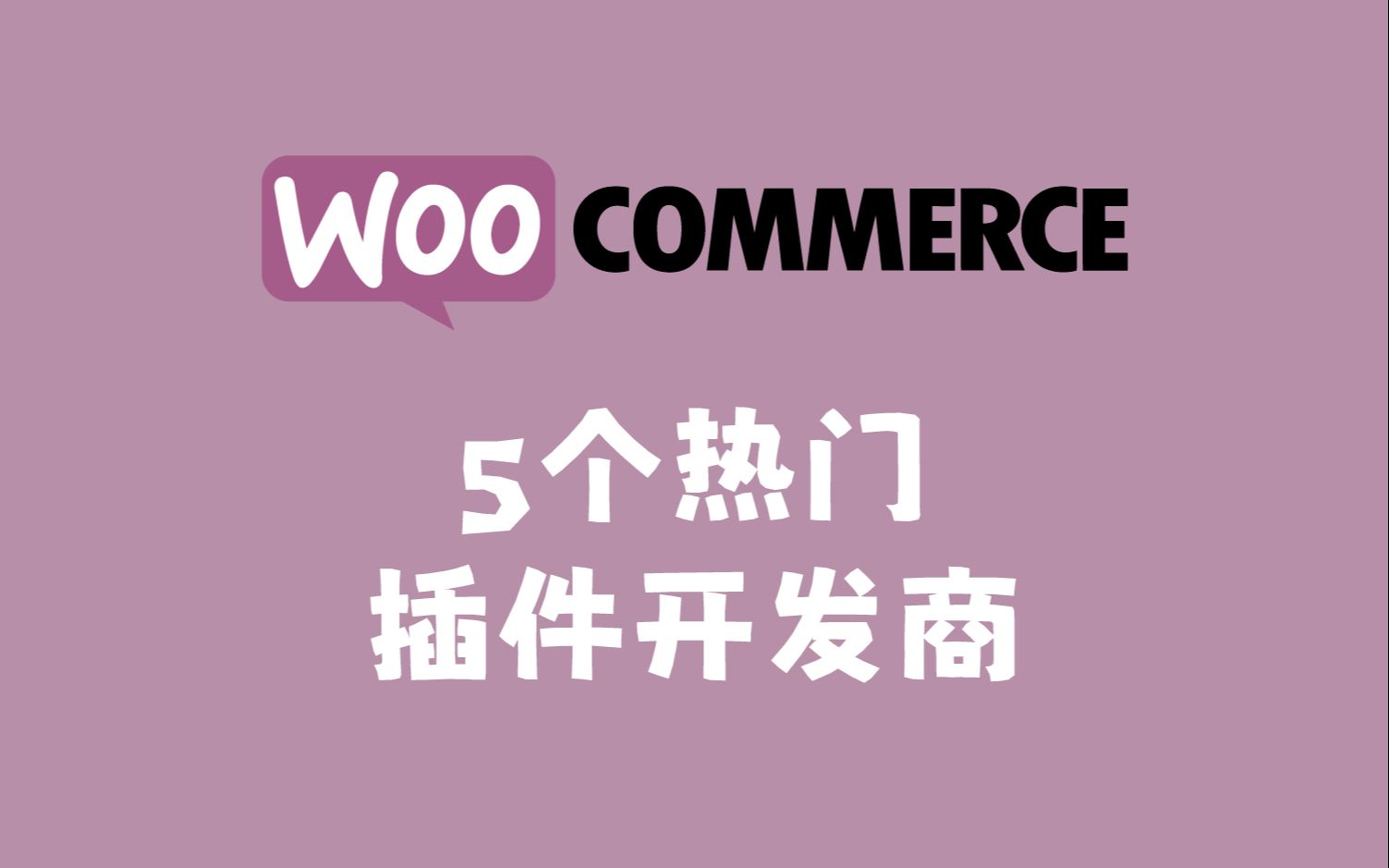 WooCommerce | 五个热门插件开发商