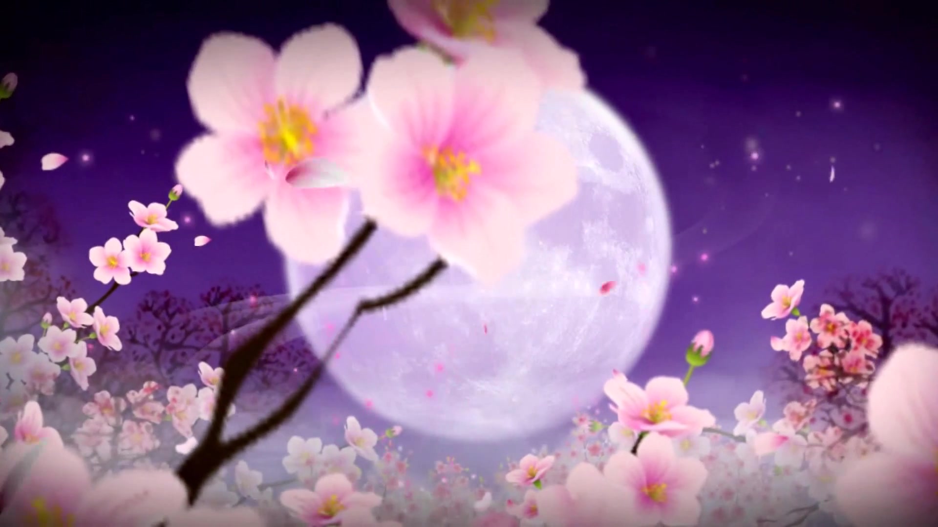梅花月亮视频有音乐高清晚会背景视频素材
