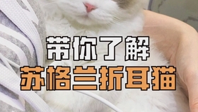 怎么让自己看起来不那么严肃 6153b2768c122bf41e5aa2d0c19ef9c29d103061.jpg@280w_158h_1c_100q.jpg