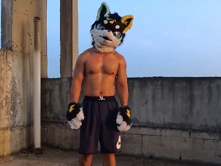 今年最喜欢的歌