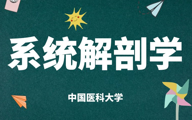 《系统解剖学》全集-中国医科大学