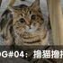 【N的声活日记】VLOG#04撸猫撸撸撸