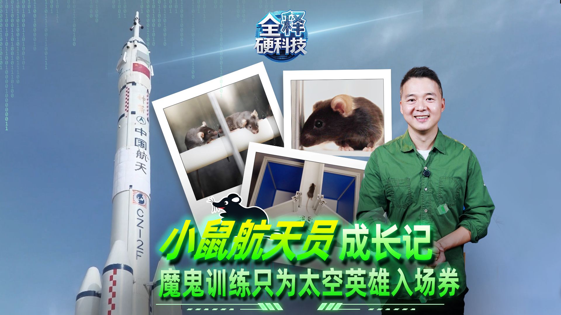 这么卷？你要上天啊？ 小鼠：可不咋的