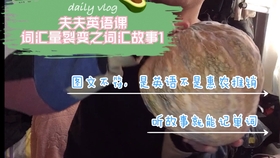 618ff697a0bed829d8cb7c0b4d1095f719d2c60d.jpg@280w_158h_1c_100q.jpg