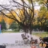北京三环内的大学校园秋色，疫情期前拍摄