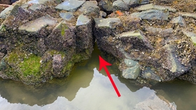 鱼多久产一次小鱼 6197769dd6c3c462998352958668aad211fb81a7.jpg@280w_158h_1c_100q.jpg