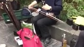 二胡曲极乐净土曲谱_极乐净土曲谱