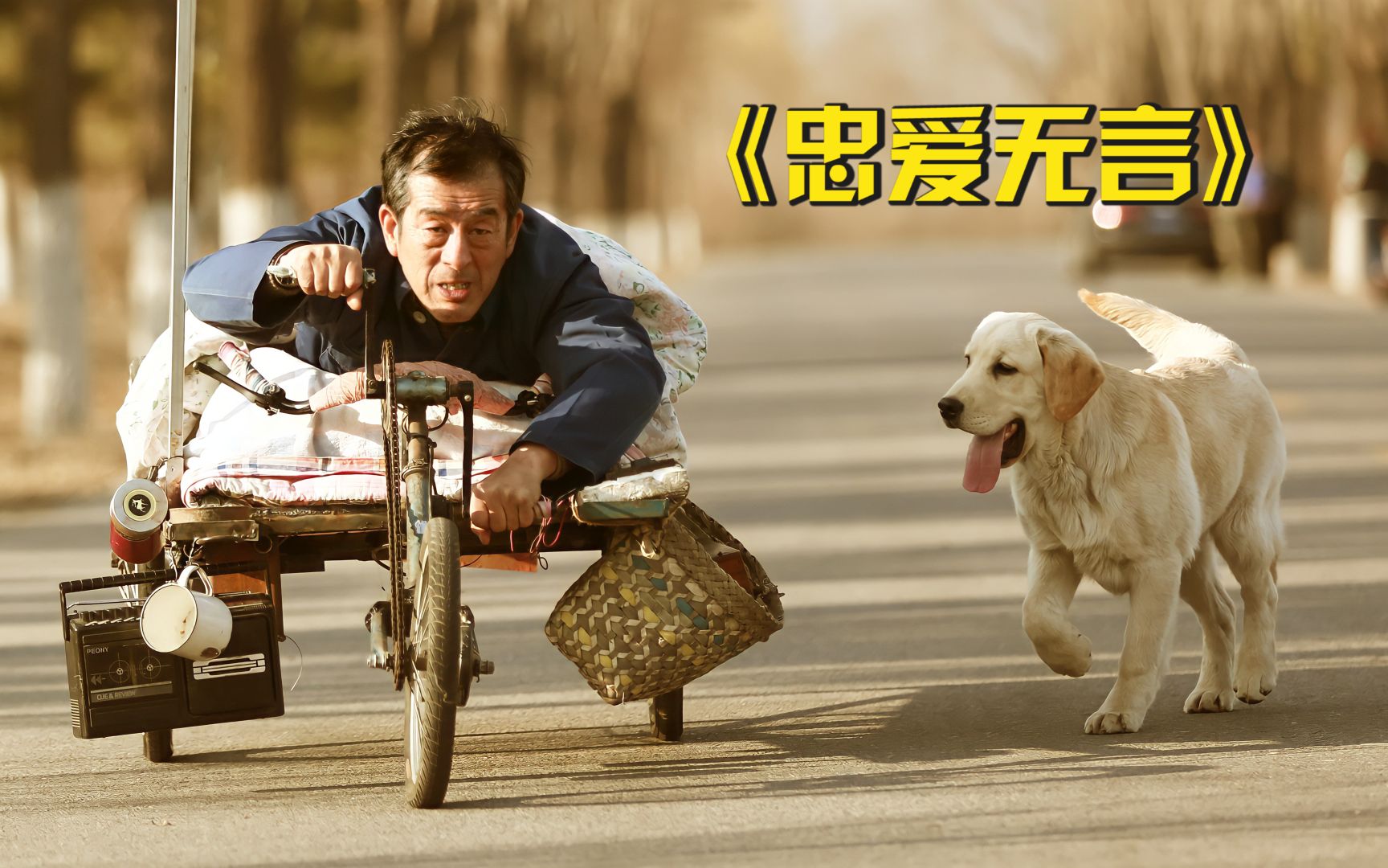 残疾老人和狗相依为命，却为了四千卖掉狗子，国产催泪电影