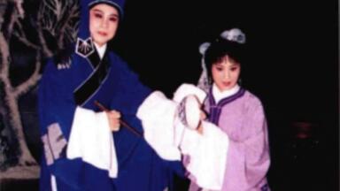 【<em class="keyword">越剧王文娟</em>|经典】两口子又又又打起来了 《评雪辨踪》演出：<em class="keyword">王文娟</em> 徐玉兰