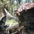 【精彩片段】古马陆VS原水蝎螈，远古节肢动物与远古两栖动物间的对决！