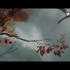 这家法国超神的二维动画团队出了一部中国题材的动画电影《muyi》！