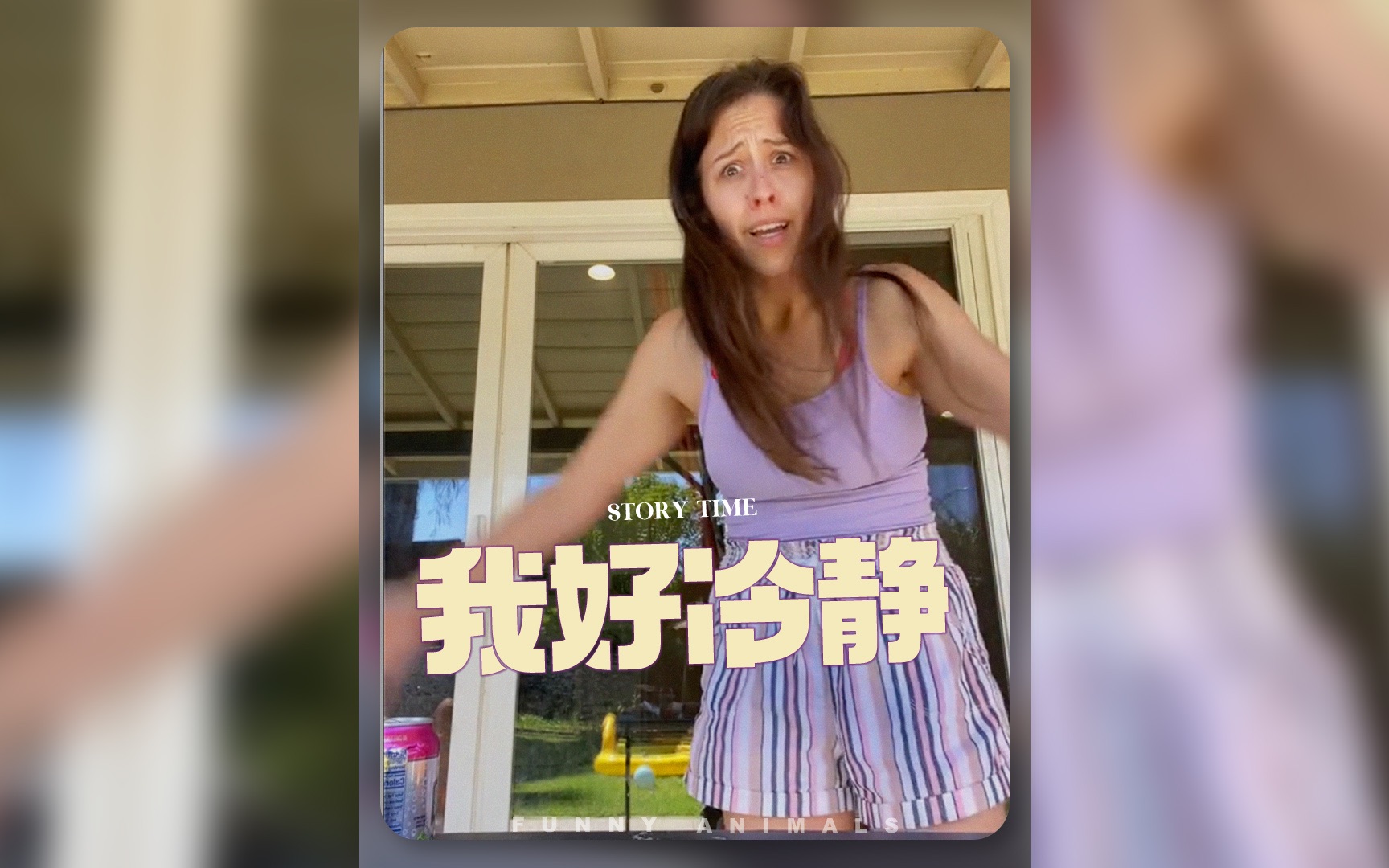 5-funny-animals-funny-animals