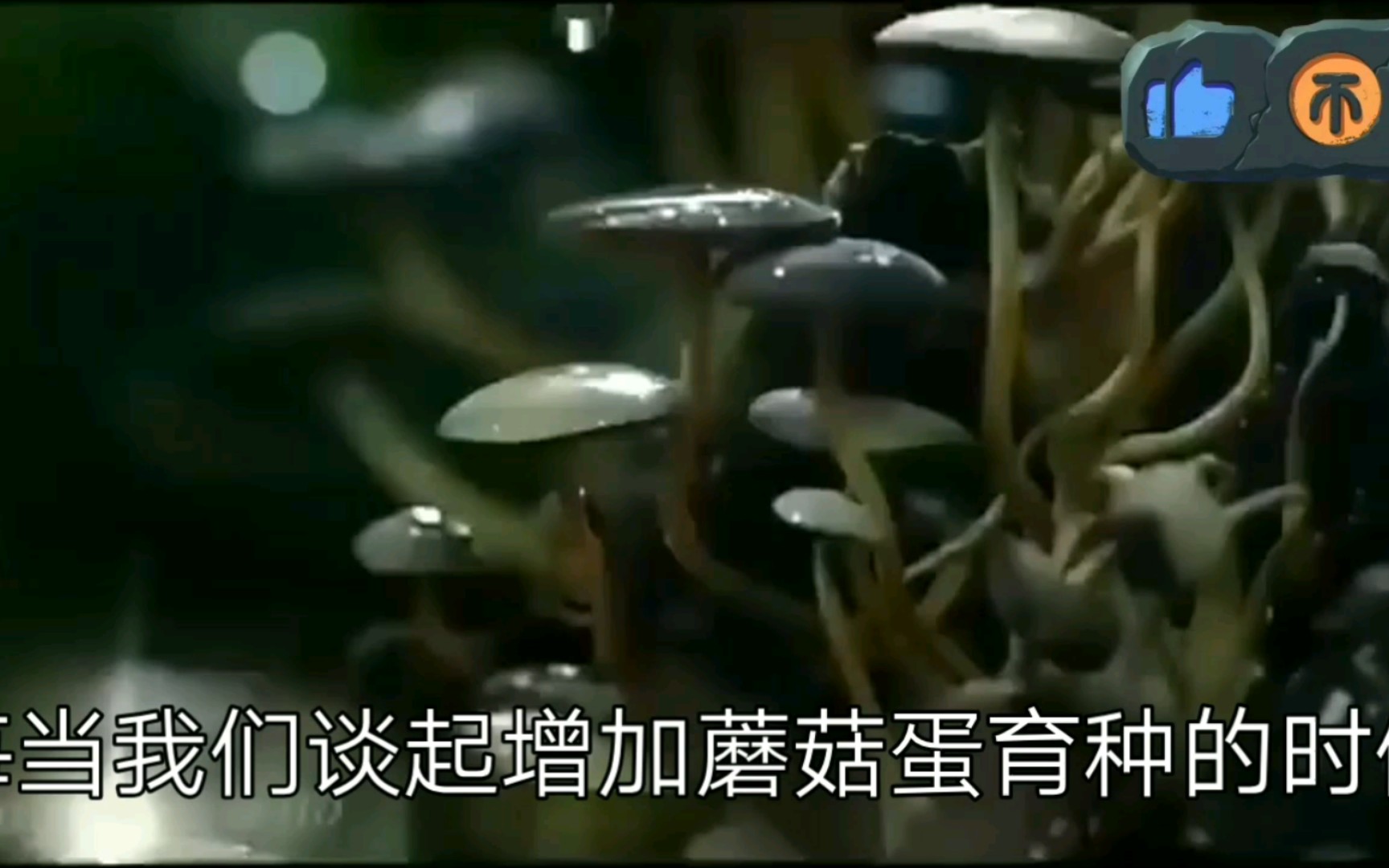 细说小约翰可汗发表的第一期视频：到底需要多少枚蘑菇才能保证世界和平？（修改字幕）