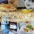 Vlog初尝试| 提高英语方法| 猫饭配方| 捞汁海鲜| 早餐三明治| 下午茶| 想不到这个vlog里居然有干货| 治愈