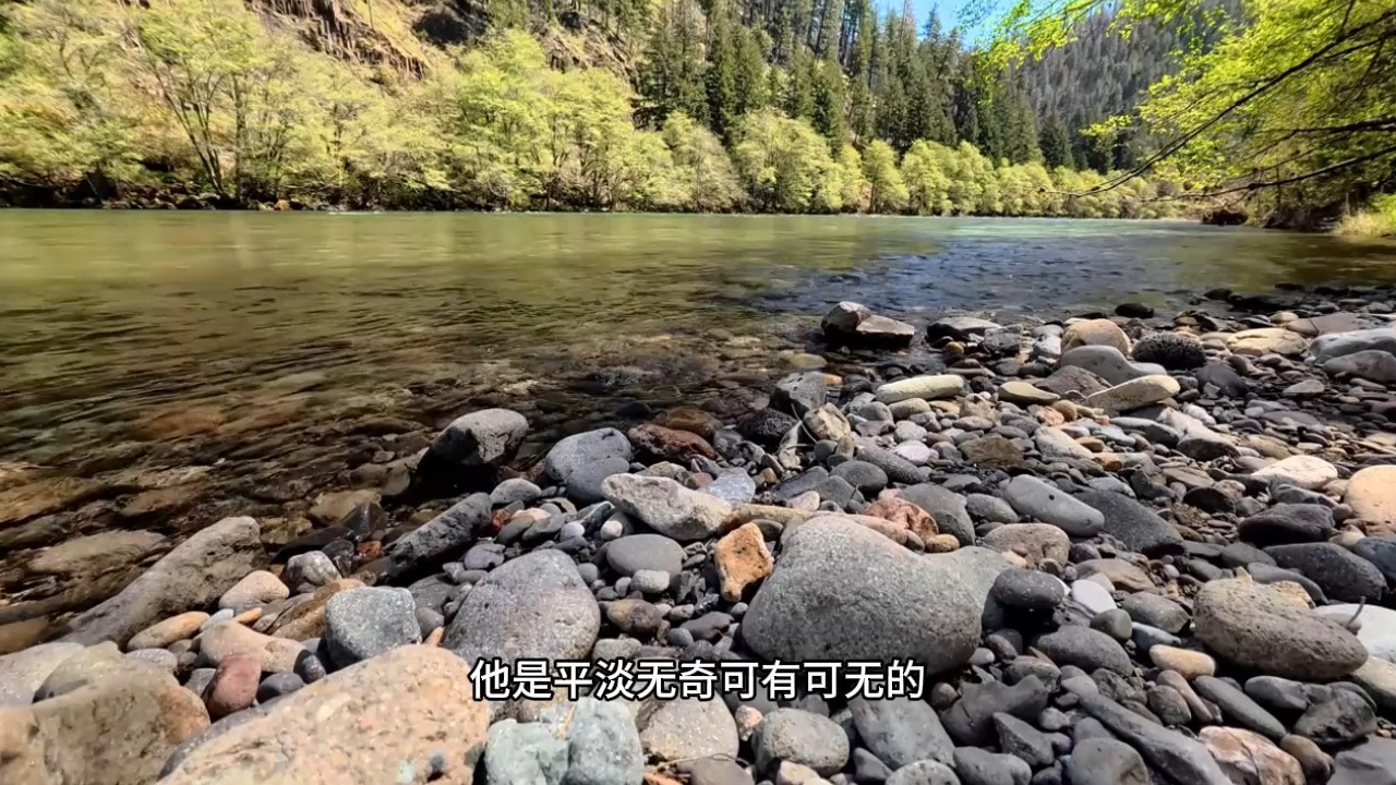 什么才是真正的禅定？如何才能将禅定融入生活？99%的人都做错了！